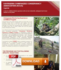 Download Chimpanzee Monitoring Experience PDF