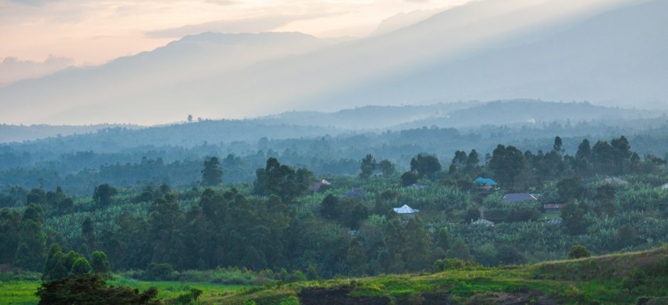 Misty green hills in Uganda